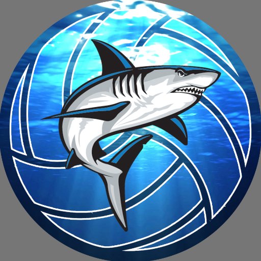 NSU Volleyball Profile