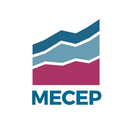 MECEP1 Profile Picture
