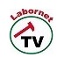 レイバーネット (@labornetjp) Twitter profile photo レイバーネット (@labornetjp) Twitter profile photo