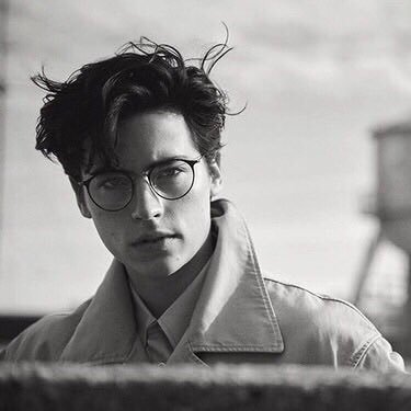 AveryKylerpg's profile picture. Serdaigle de sang pur.