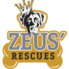 It is the mission, duty, and purpose of Zeus’ Rescues to eradicate pet homelessness and euthanasia within the New Orleans metro area.