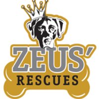 Zeus' Rescues (@zeusrescues) 's Twitter Profile