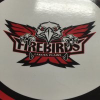 @PlainsFirebirds (@plainsfirebird1) 's Twitter Profile