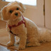 Addyson Smith (@thecatdoor) Twitter profile photo
