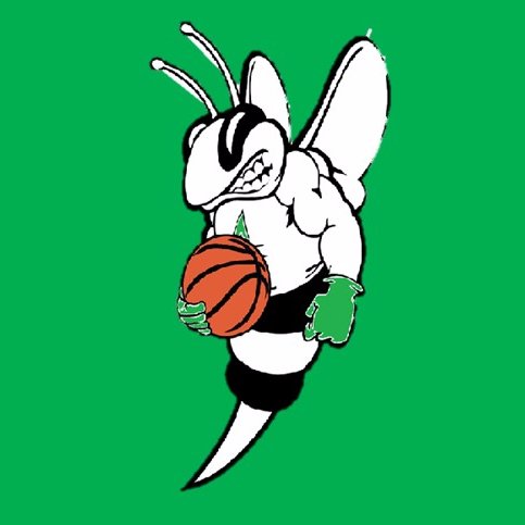 Azle Lady Hornets BB Profile