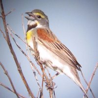 Tim Parker (@timparker88) 's Twitter Profile
