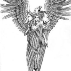 TitanNarwhal's profile picture. I just yap, 21 he/him