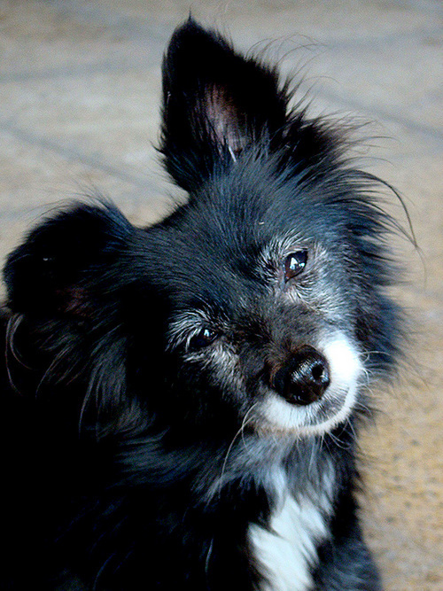 Julitamonse's profile picture. Dr. en Ciencias Silvoagropecuarias. Bióloga🦠 y propagadora in vitro🌱
IG @invitro_nativa