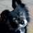 Julitamonse's profile image