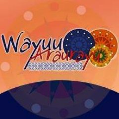 Asociacion de jefes familiares y Territoriales de Distintos EIRRUKU Wayuu de la Zona Norte de la Alta Guajira WAYUU ARAURAYU - INTEGRANTE DE LA ONIC DESDE 1991