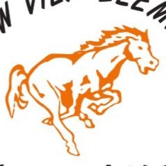 MVEMustang Profile Picture