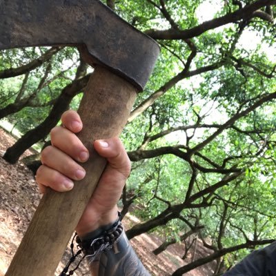 donovq's profile picture. 