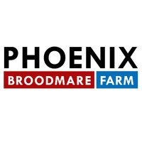 Phoenix Broodmares (@phoenix_mare) 's Twitter Profile