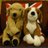 hiromin_yayu65