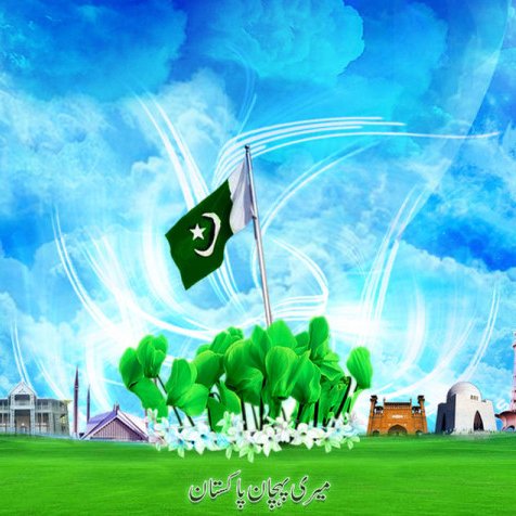 nasir635's profile picture. 