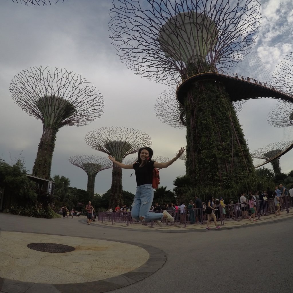 hollydelica's profile picture. 