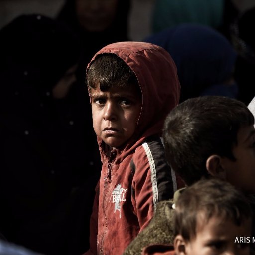 ThomasNetvibes's profile picture. 