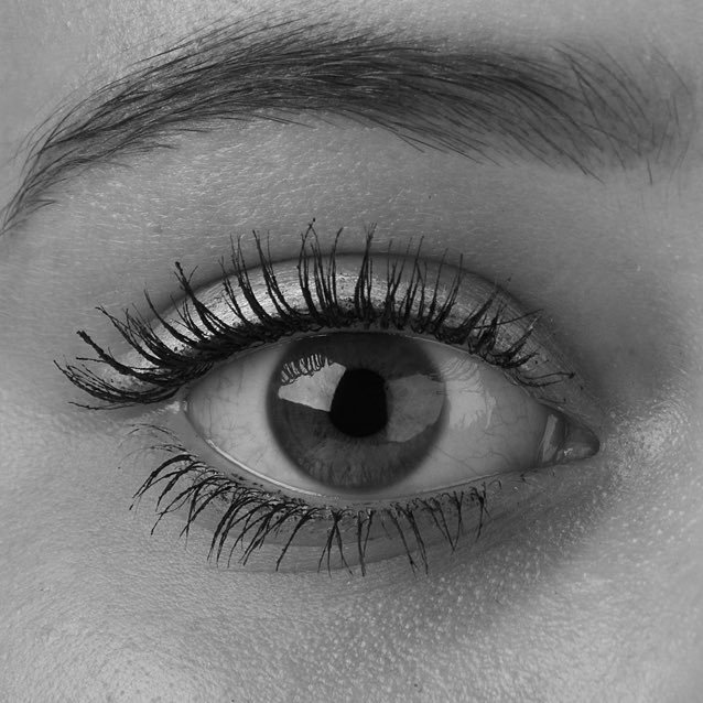 DNET_2nd's profile picture. サブ赤なんです