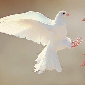 名言bot 相互フォロー 嘲笑と泥にまみれても 逆境で描いた 青写真 はすべて実現する 堀之内九一郎 株式会社生活倉庫社長