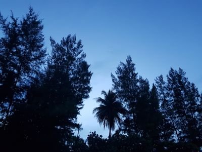 jaaraigorshung's profile picture. เออๆๆ เอางี้แหละ