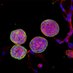 Biomics Lab (CEA Inserm UGA) (@biomicslab) Twitter profile photo Biomics Lab (CEA Inserm UGA) (@biomicslab) Twitter profile photo