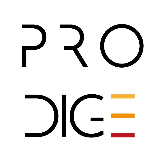 Prodige Ressource Profile