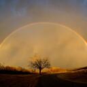 Chris Riedel-Adkison - @adkisonc - Twitter