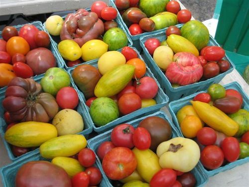 cncrfree's profile picture. I am a cancer SURVIVOR! I will spend the rest of the life God grants me here in this world helping others do the same.