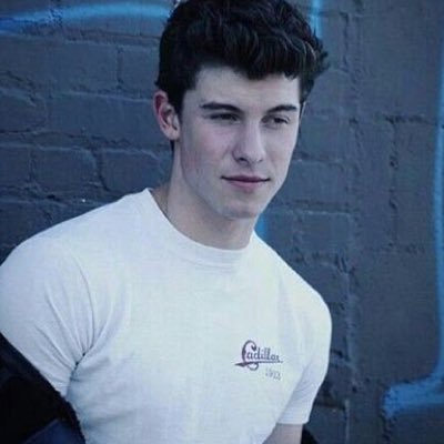 _mendesarmy_pt's profile picture. O amor vence a distância. 🤞🏼❤️