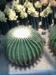 laptopbatteryon's profile picture. cheap laptop batteries, camcorder batteries, digital camera batteries, power tools batteries etc, AC and Auto Adapters for your laptop