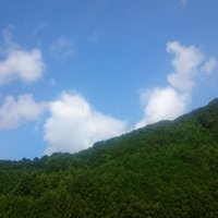 老眼自由人(ローガン=フリーマン) (@varwilhelminae) 's Twitter Profile