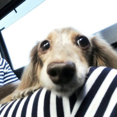 sherry_mokka121's profile picture. 