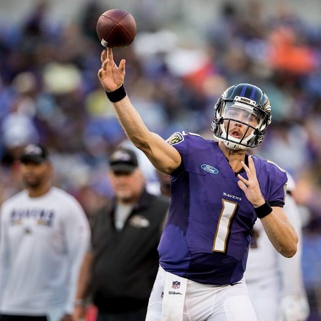 David Olson Profile