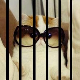 freemalwaretech's profile picture. Marcus Hutchins - aka @malwaretechblog has been detained by the FBI. This is extremely damaging to the global information security community.
