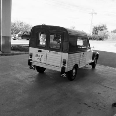 Txitxoterremot1's profile picture. 