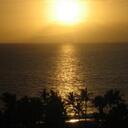 brian_cover - @brian_0 - Twitter