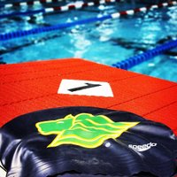 Saint Leo Swimming (@saintleoswim) 's Twitter Profile