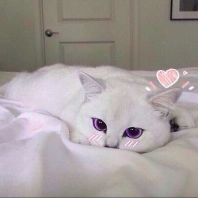 Самый известный тусовщик Гомеля （по выходным）


 скрытый(второй) https://t.co/4lZ8zz7hgC