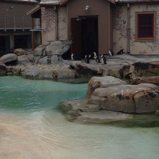 Derbydee's profile picture. 