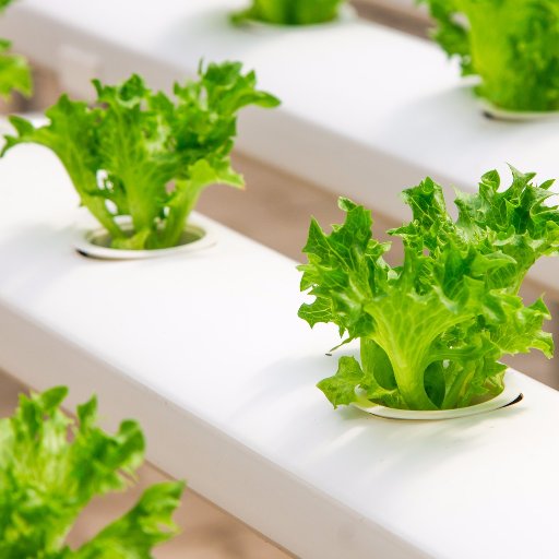 A vertical farming community. News, articles, tips and tricks, DIY projects and more. #VerticalFarming #UrbanFarming #Agriculture #Tech