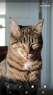 Sagarv11's profile picture. 