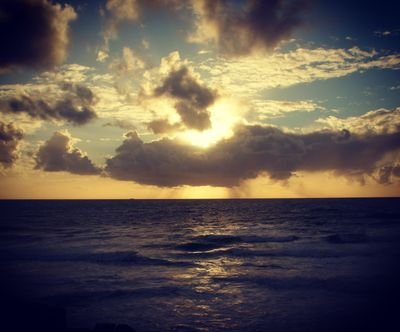 M4F1l1CA's profile picture. Artisticamente vagueando pela vida.              
Photography enthusiastic