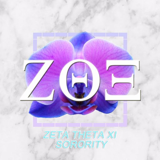 A local sorority devoted to philanthropy, academics, social development and of course, sisterhood 💜