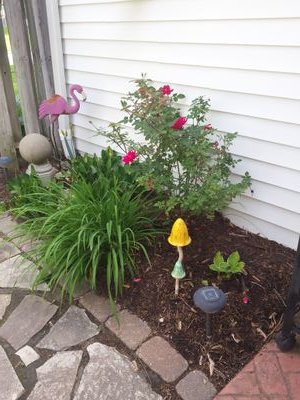 McentiSara's profile picture. 