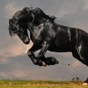 Veronica Servin - @Vero7nicaServin - Twitter