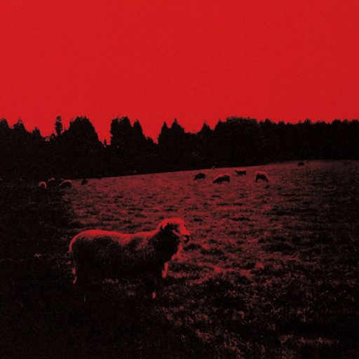 casallasmo's profile picture. 