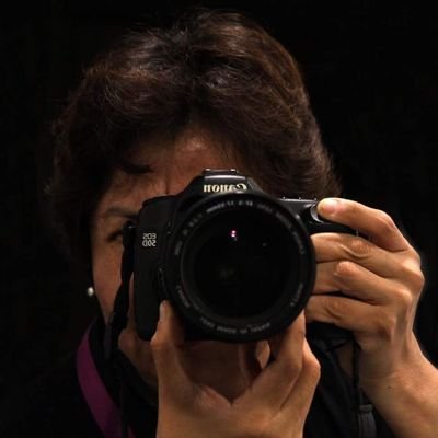 Fotógrafa Freelance especializada en fotografía documental, institucional, social, corporativa y para redes sociales. https://t.co/jNrvcaXV7s