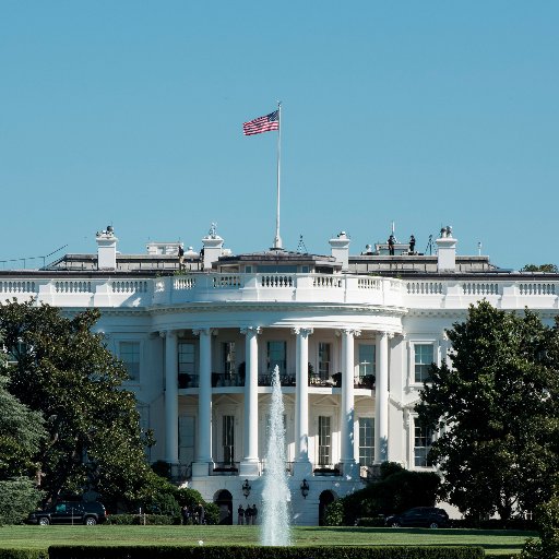 alltrumps_fault's profile picture. just because everything is Trumps fault. Relax and laugh parody account