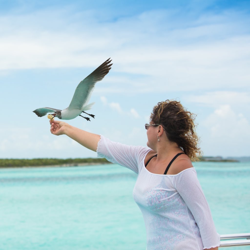 Dr_Salcedo's profile picture. 