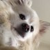 mary (@mariazinha_mae) Twitter profile photo mary (@mariazinha_mae) Twitter profile photo